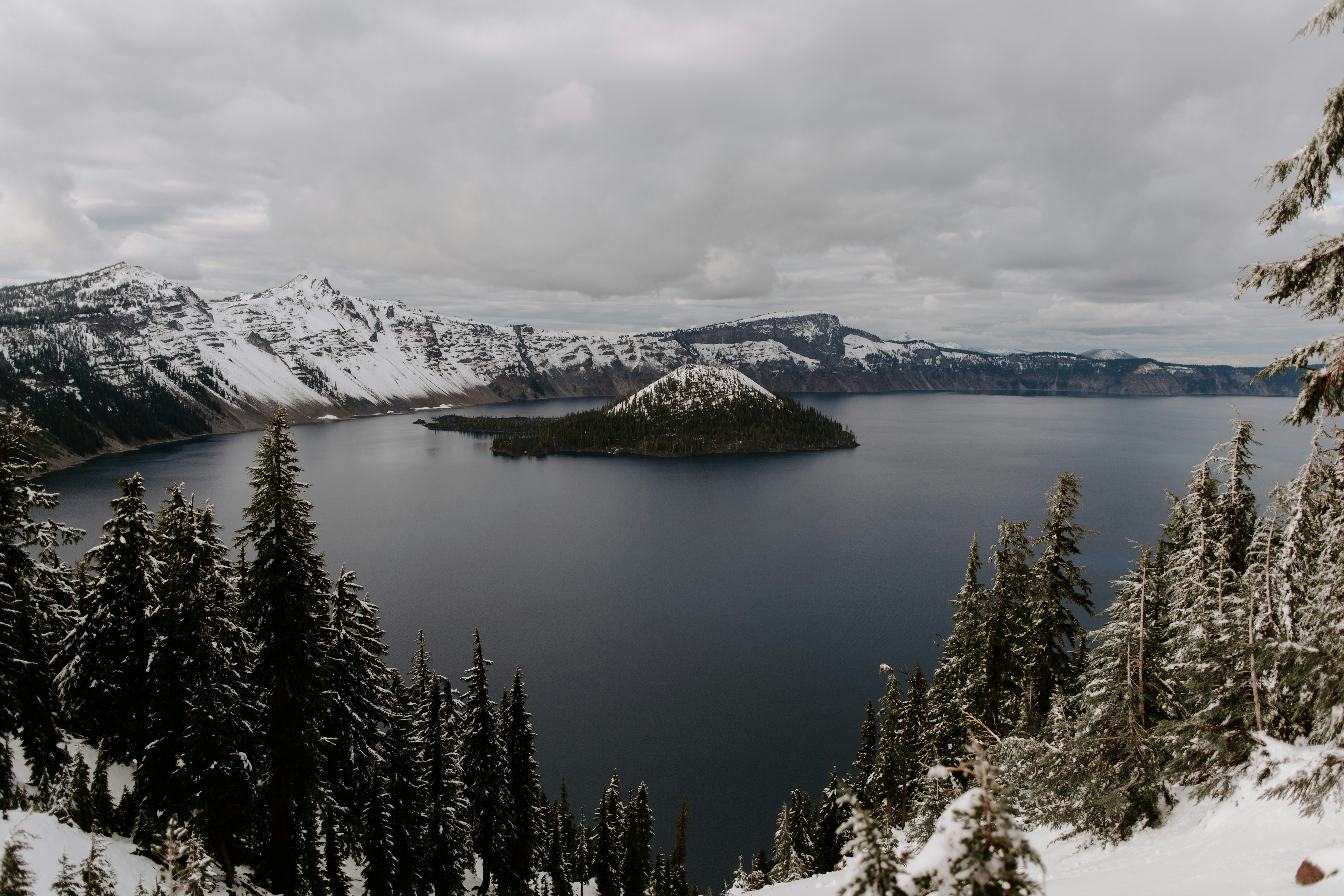 trees on snow covered mountain near body of water